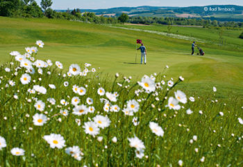Bella Vista Golfpark - Spieler Blumenwiese Bella Vista Golfpark - Spieler Blumenwiese